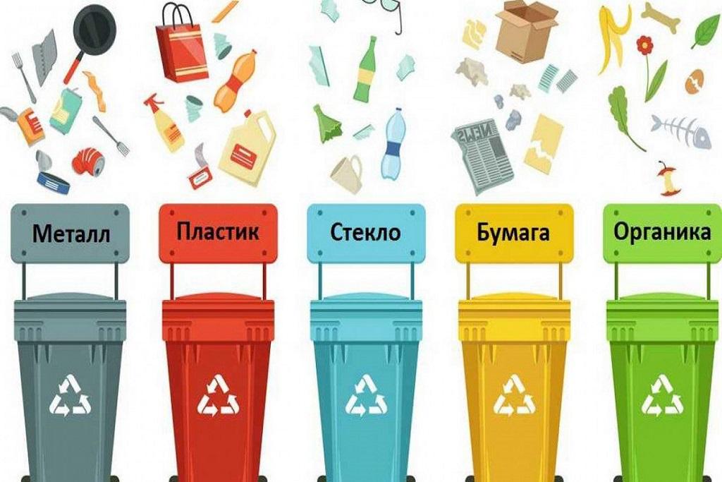 сбор и сортировка мусора
